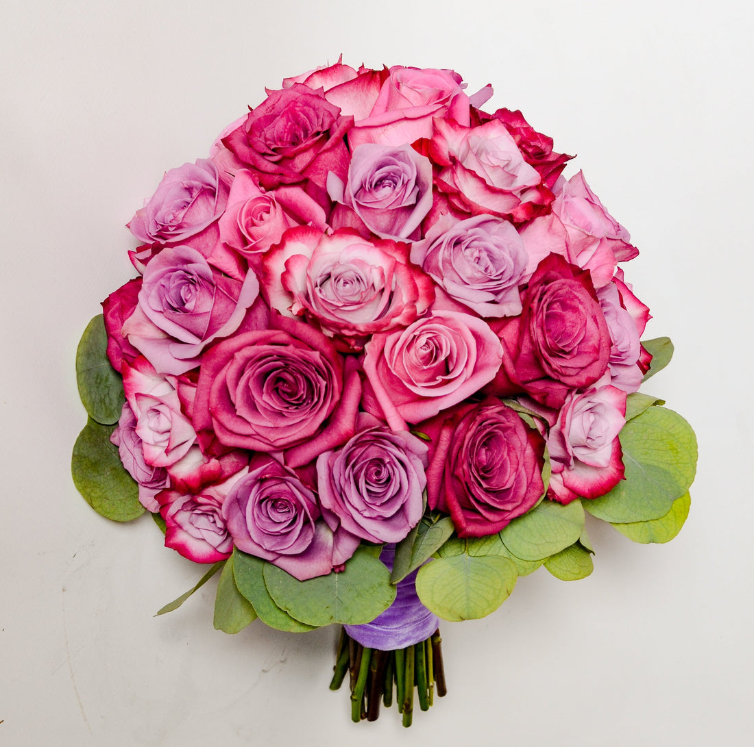 Best Roses for Anniversaries: Colours, Meanings and Milestones