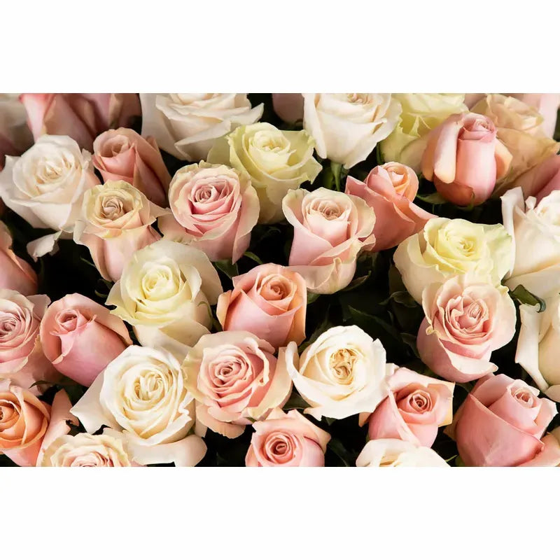 101 Rose Vase Arrangement