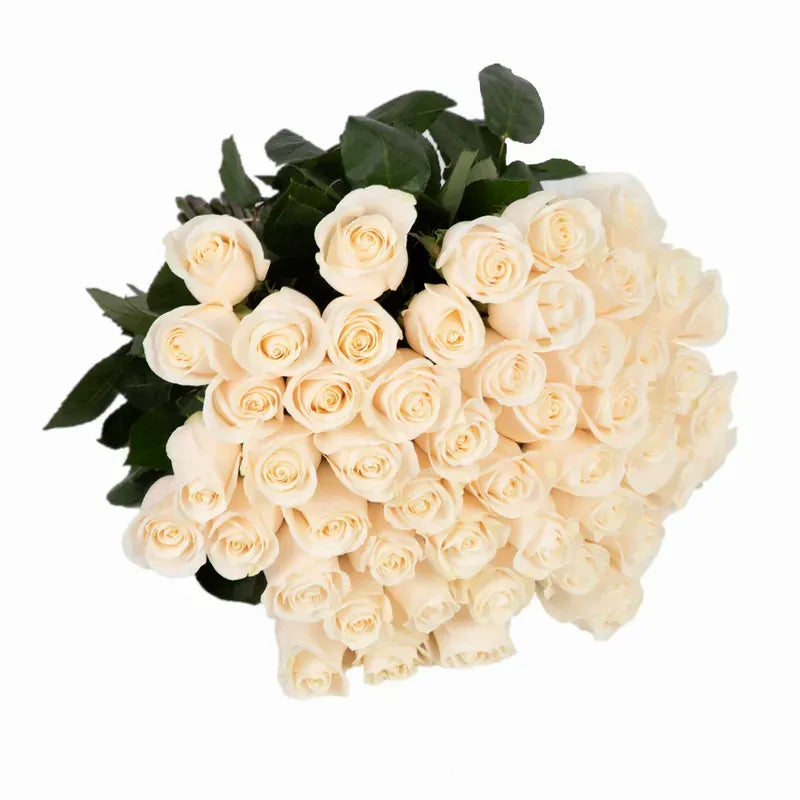 'Vendela' Signature Fifty Rose Bouquet