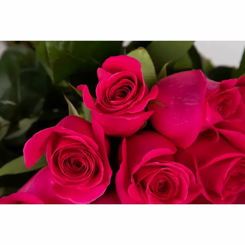 'Pink Floyd' Signature Fifty Rose Bouquet