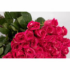 'Pandora' Signature Seventy-Five Rose Bouquet