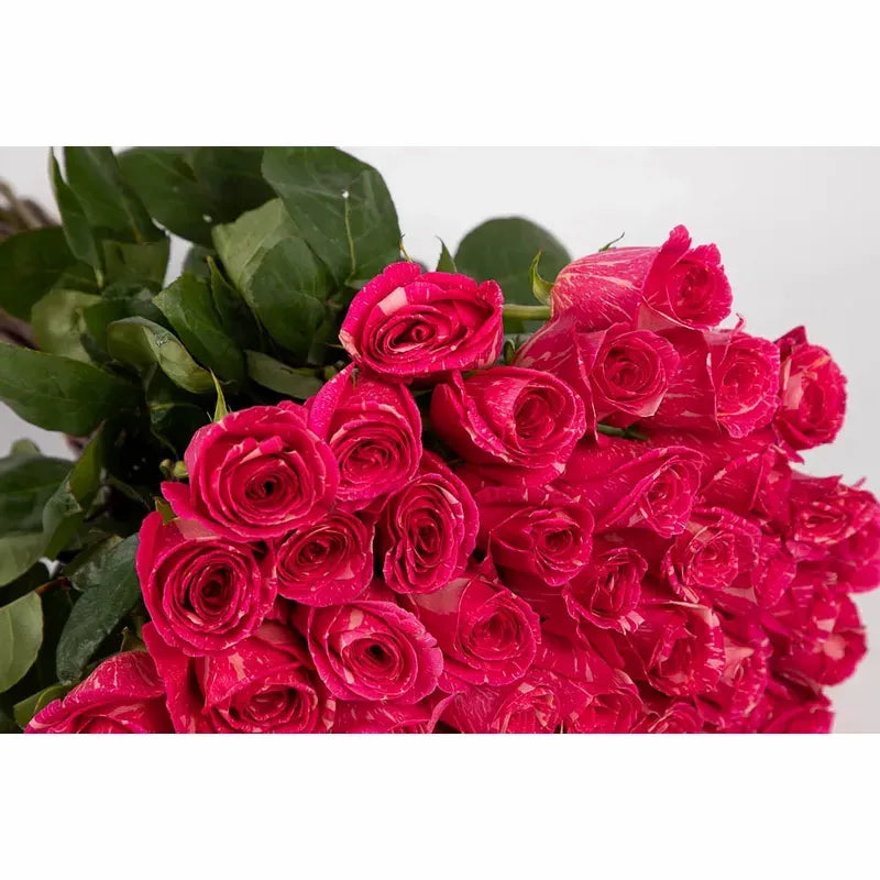 'Pandora' Signature Seventy-Five Rose Bouquet