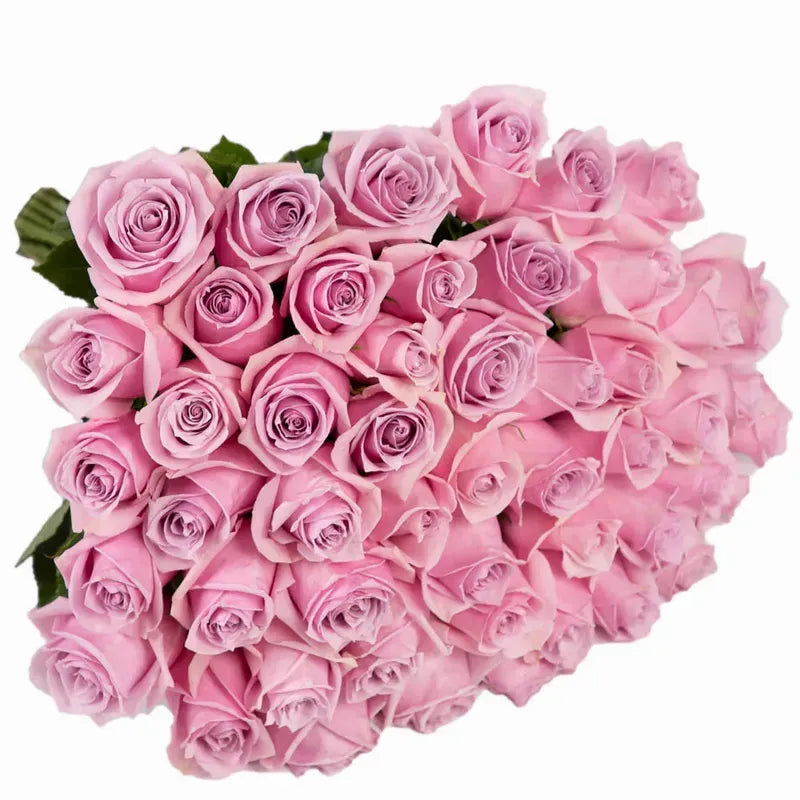 'Nautica' Signature Fifty Rose Bouquet