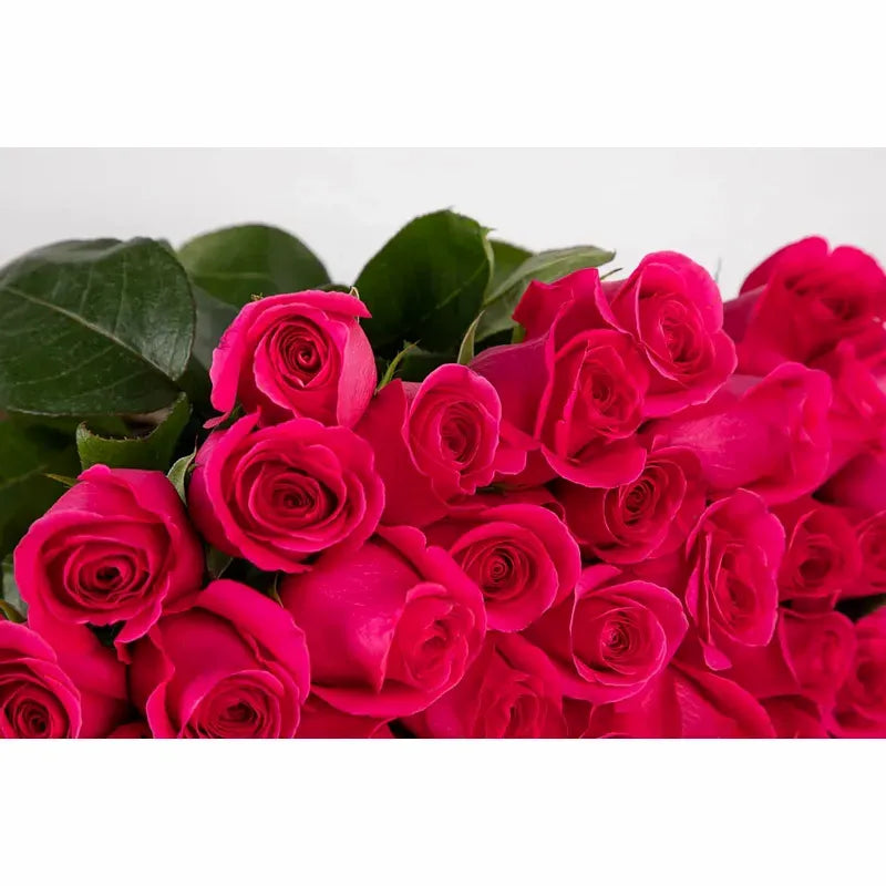 Fifty Long Stem 'Pink Floyd' Vase Arrangement