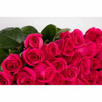 Fifty Long Stem 'Pink Floyd' Vase Arrangement