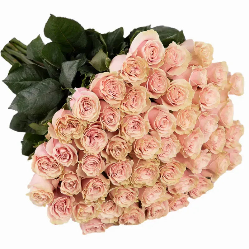 'Pink Mondial' Signature Fifty Rose Bouquet