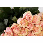 'Pink Mondial' Signature Fifty Rose Bouquet
