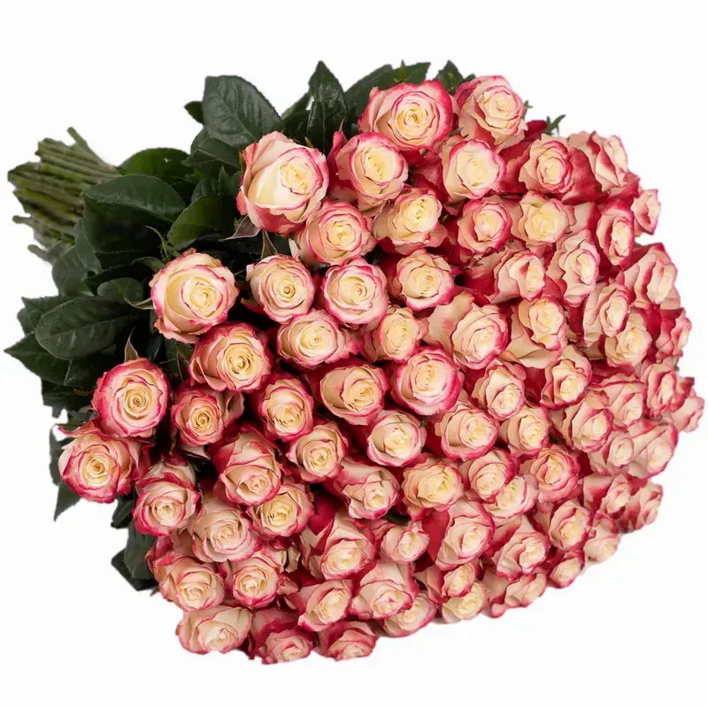 'Sweetness' Signature 101 Rose Bouquet