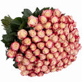 'Sweetness' Signature 101 Rose Bouquet