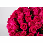 Fifty Long Stem 'Pink Floyd' Vase Arrangement