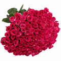 'Pandora' Signature Seventy-Five Rose Bouquet
