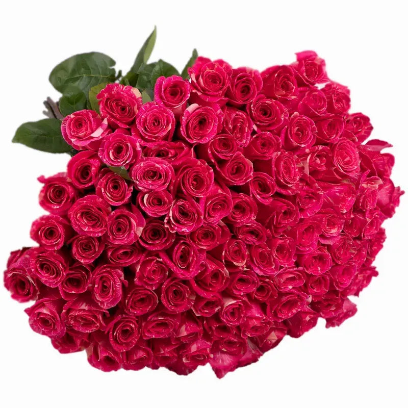 'Pandora' Signature Seventy-Five Rose Bouquet