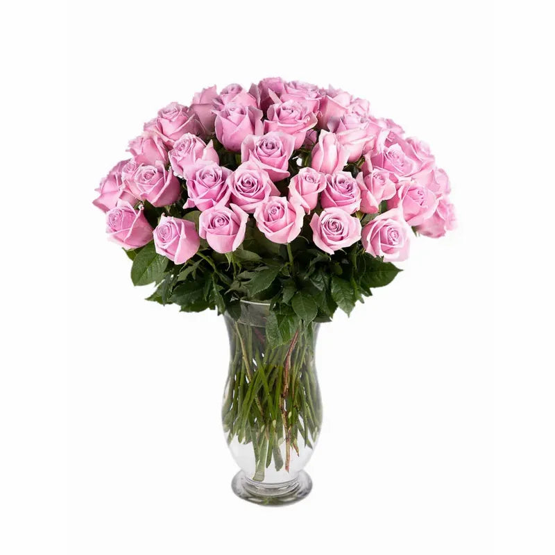 Fifty XLong Stem 'Nautica' Vase Arrangement