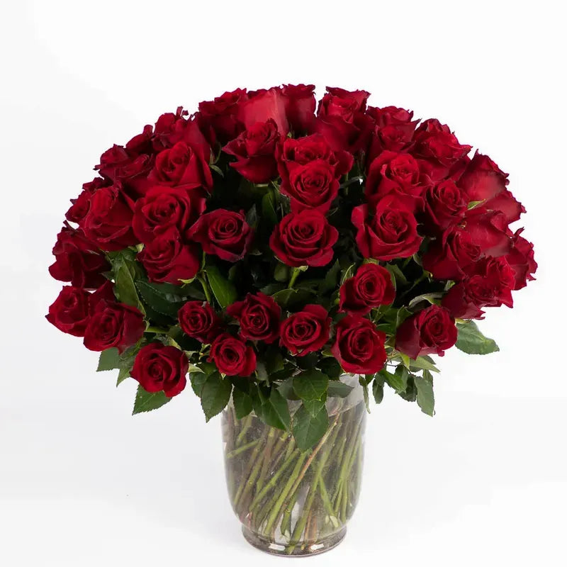 75 Explorer Red Roses in a Glass Vase