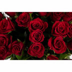 75 Red 'Explorer' Rose Vase Arrangement