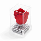 Mini Red Forever Rose