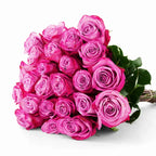 'Moody Blues' Two Tone Purple Roses
