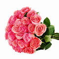 'Saga' Peach/Pink Roses