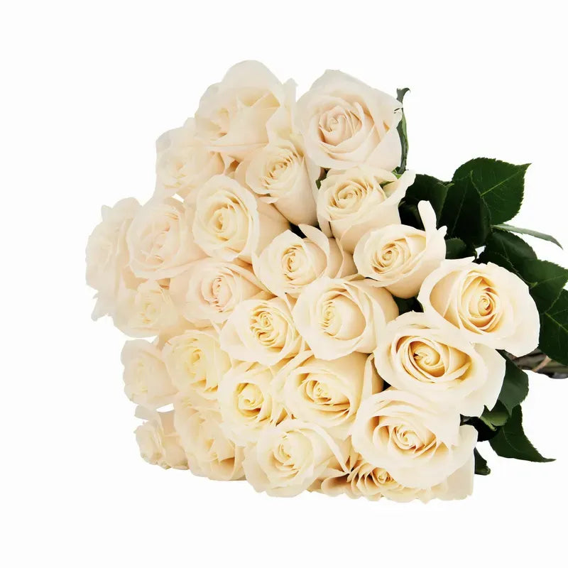 'Vendela' Off-White Roses