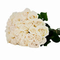 'Playa Blanca' Off White Roses
