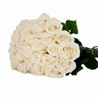 'Playa Blanca' Off White Roses