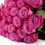 'Moody Blues' Two Tone Purple Roses