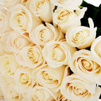 'Vendela' Off-White Roses