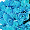 'Cyan' Blue Roses