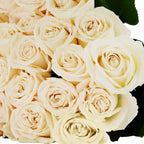 'Playa Blanca' Off White Roses