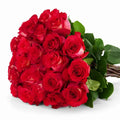 'Iguazu' Two Tone Red Roses