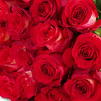 'Iguazu' Two Tone Red Roses