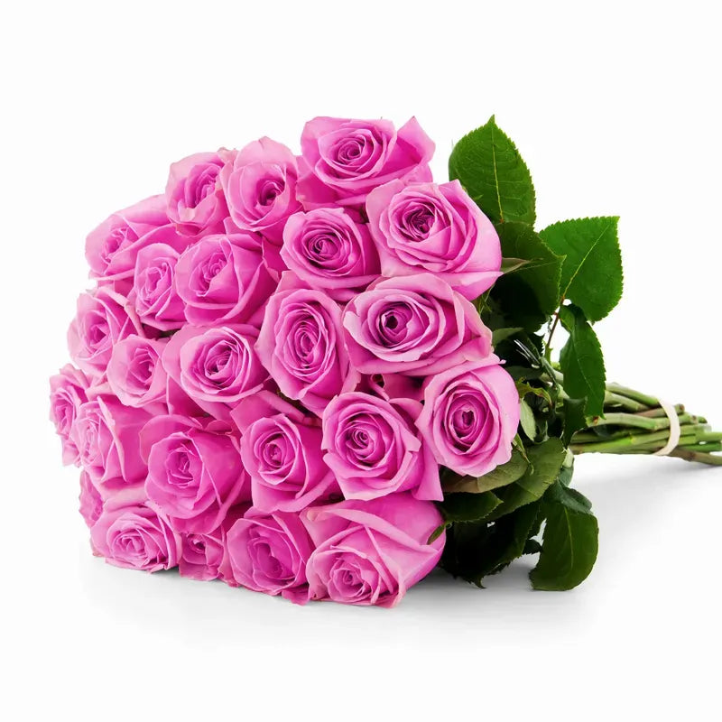 'Soulmate' Pink Roses