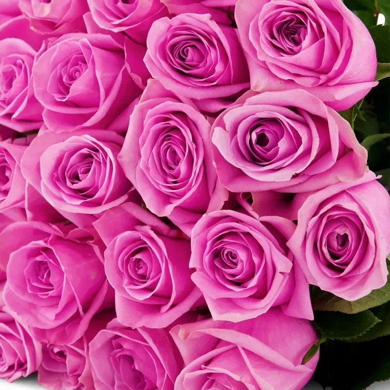 'Soulmate' Pink Roses