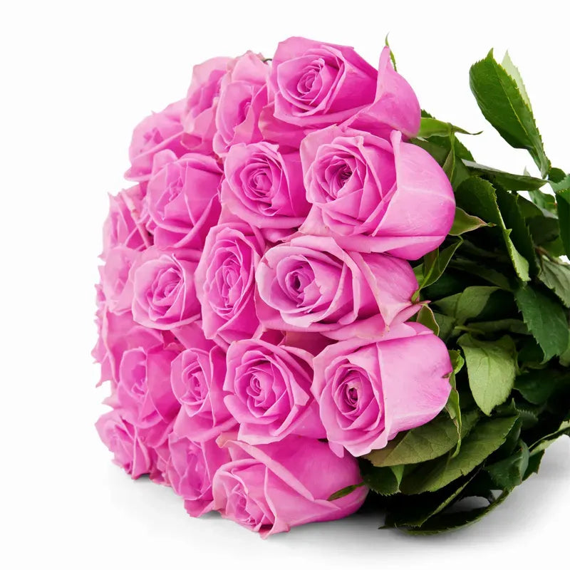 'Soulmate' Pink Roses
