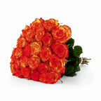 'High & Orange' Two Tone Orange Roses