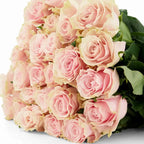 'Pink Mondial' Nude Roses