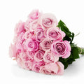 'Secret Garden' Light Pink bi-Color Roses