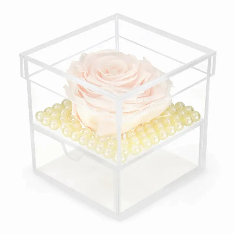 Single Jumbo Forever Rose w. Drawer