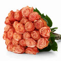 'Kahala' Peach Roses