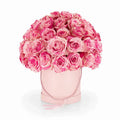 75 Premium Rose Box