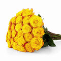 'High & Yellow' Two Tone Yellow Rose