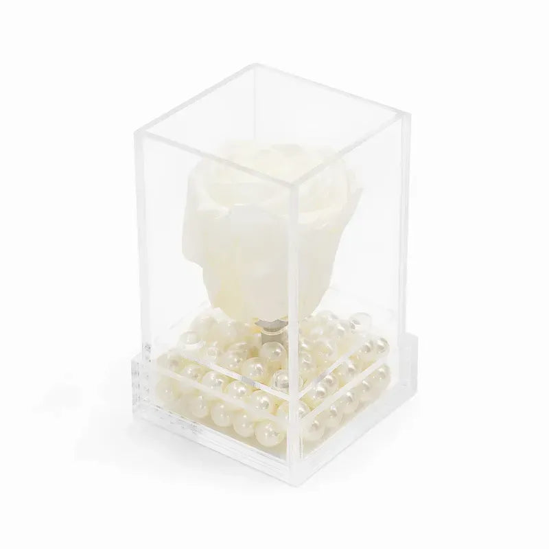 Single Mini Forever Rose
