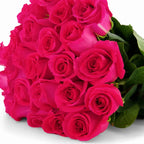'Pink Floyd' Fuschia Roses
