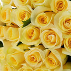 'Creme De La Creme' Cream Roses