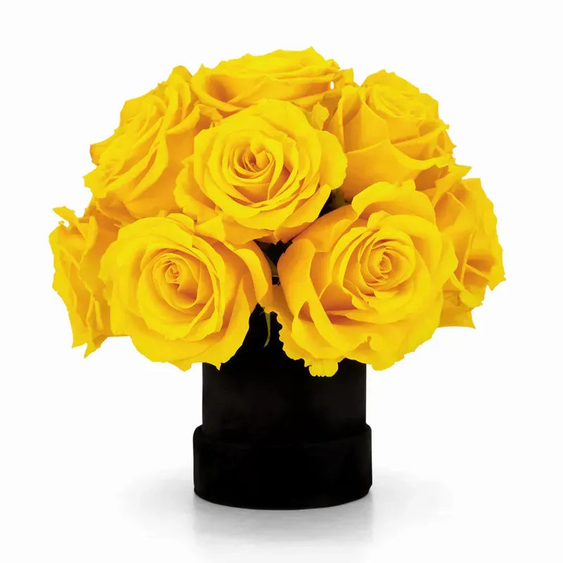 12 Rose Box