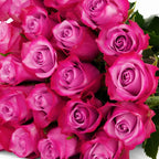 'Deep Purple' Two Tone Purple Roses
