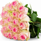 'Esperanza' Two Tone Pink Roses