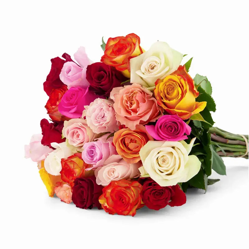 'Rainbow' Mixed Color Roses