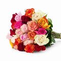 'Rainbow' Mixed Color Roses