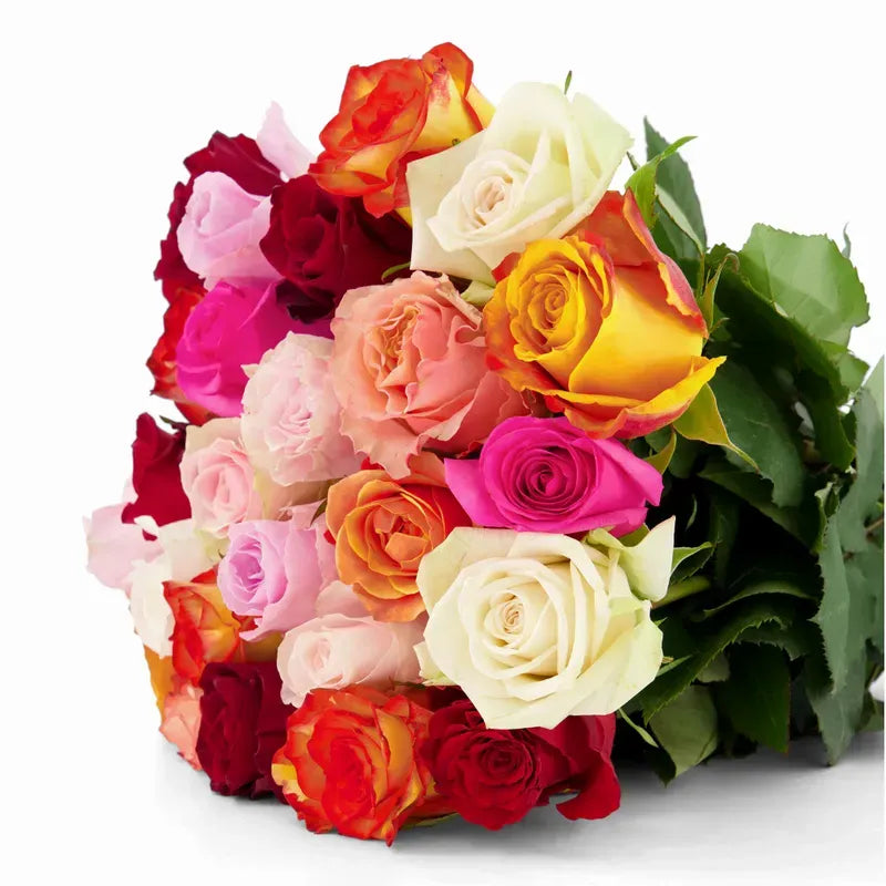 'Rainbow' Mixed Color Roses